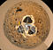Thumbnail image. Click to load APOD for this date