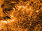 Thumbnail image. Click to load APOD for this date
