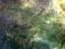 Thumbnail image. Click to load APOD for this date
