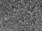 Thumbnail image. Click to load APOD for this date