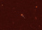 Thumbnail image. Click to load APOD for this date