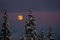 Thumbnail image. Click to load APOD for this date