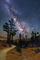 Thumbnail image. Click to load APOD for this date