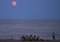 Thumbnail image. Click to load APOD for this date