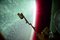 Thumbnail image. Click to load APOD for this date