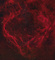 Thumbnail image. Click to load APOD for this date