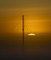 Thumbnail image. Click to load APOD for this date
