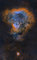 Thumbnail image. Click to load APOD for this date