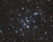 Thumbnail image. Click to load APOD for this date