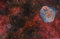 Thumbnail image. Click to load APOD for this date
