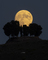 Thumbnail image. Click to load APOD for this date