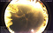 Thumbnail image. Click to load APOD for this date