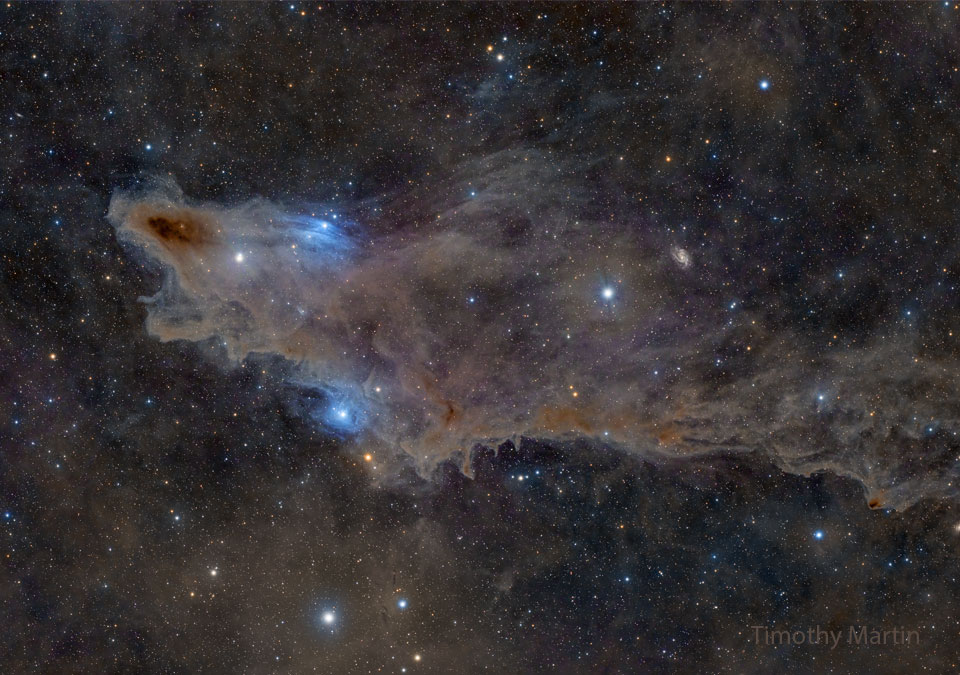 A dark brown cloud that appears similar to a shark is seen
against a background filled with stars and less prominent 
blue-shaded nebulae.
Please see the explanation for more detailed information.