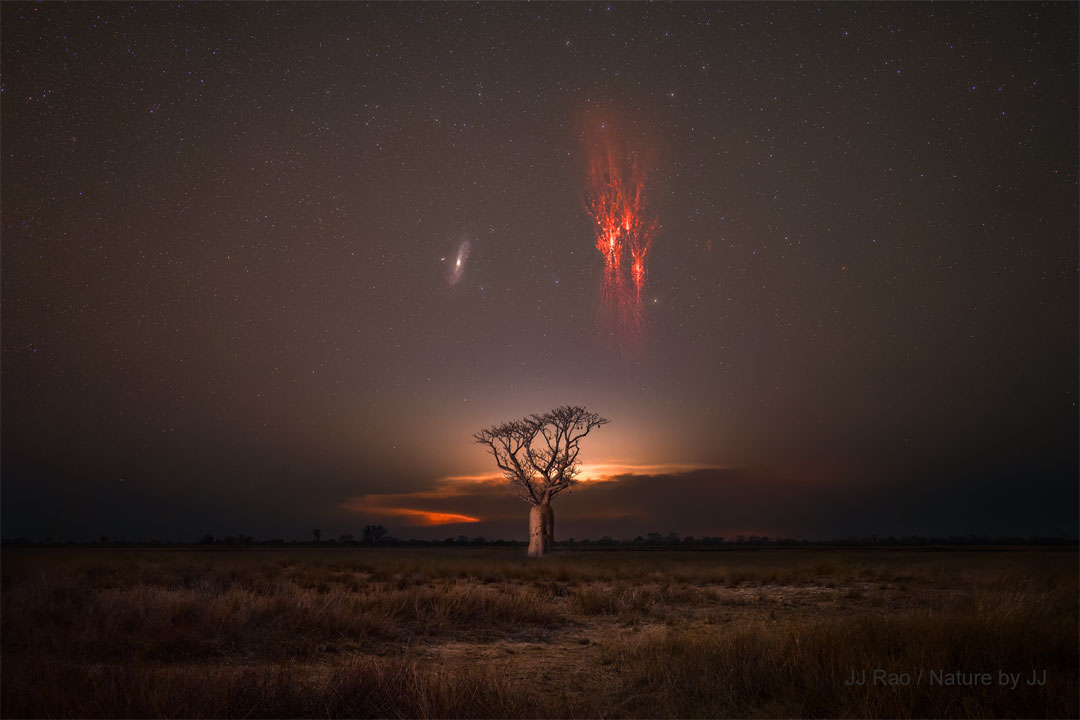 A dark landscape is back lit by a thunderstorm in the 
distance. A lone tree is visible near the centre. Above the
tree are two sky icons: the Andromeda Galaxy on the left 
and bright red sprites on the right. 
Please see the explanation for more detailed information.