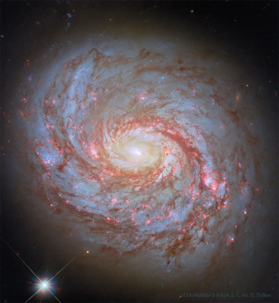 A big beautiful sprawling spiral galaxy is shown.
The galaxy has well defined spiral arms with bright blue
star clusters and dark red dust. The centre is a bright
white. 
Please see the explanation for more detailed information.