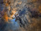 Thumbnail image. Click to load APOD for this date