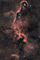 Thumbnail image. Click to load APOD for this date