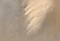 Thumbnail image. Click to load APOD for this date