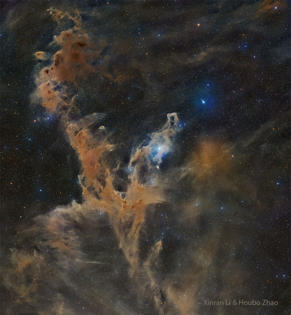 The featured image shows a dark nebula complex involving
thick dust appearing brown and making a big 