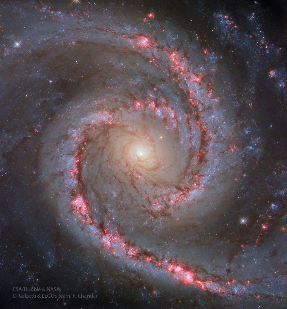 A spiral galaxy fills the frame with a white centre
in the middle. Two bright arms spiral out from the centre
filled with red nebulae along their spines and surrounded
by bright blue star clusters. 
Please see the explanation for more detailed information.