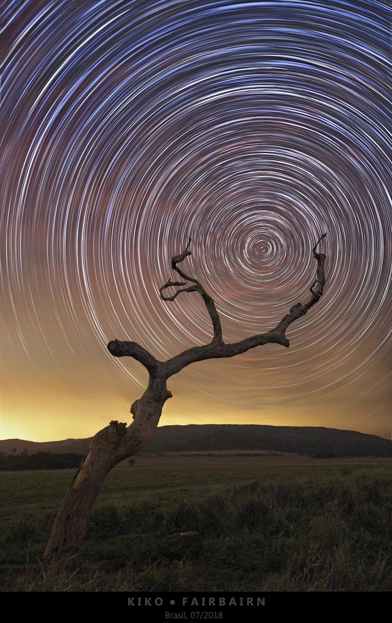 A dead tree branch on the foreground appears
	  to support a spinning wheel of stars on the night sky.
	  Please see the explanation for more detailed information.
