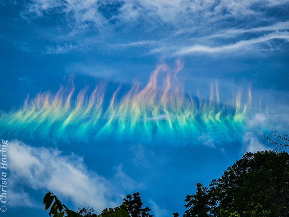 Blue sky has white clouds across the top and dark
tree tops across the bottom. Across the middle is a
very colourful row of clouds that are wavy and are 
orange at the top and green at the bottom.
Please see the explanation for more detailed information.