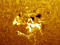 Thumbnail image. Click to load APOD for this date