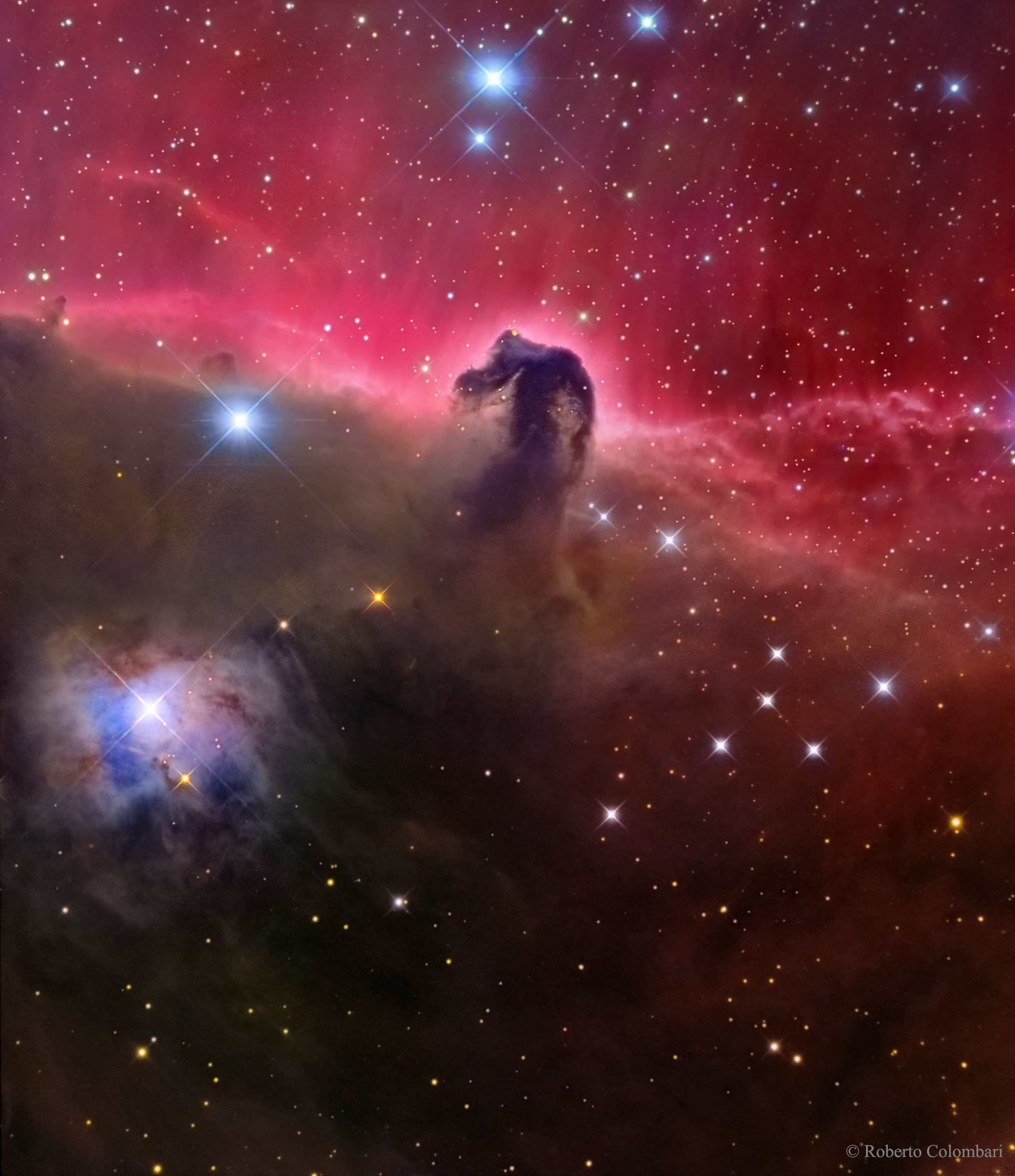 astronomy horse head