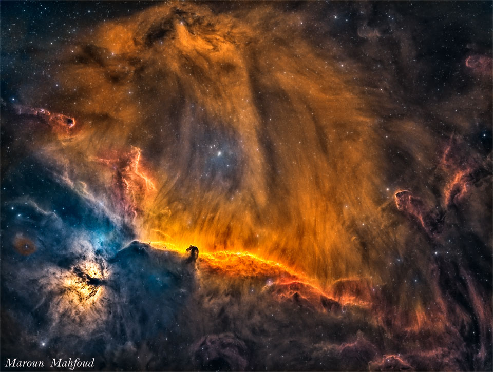 The featured image shows the the part of the 
constellation of Orion where the Horsehead and Flame
Nebulae reside. The gaseous wisps above the Horsehead
can appear, in this deep exposure, to be a lion's head.
Please see the explanation for more detailed information.