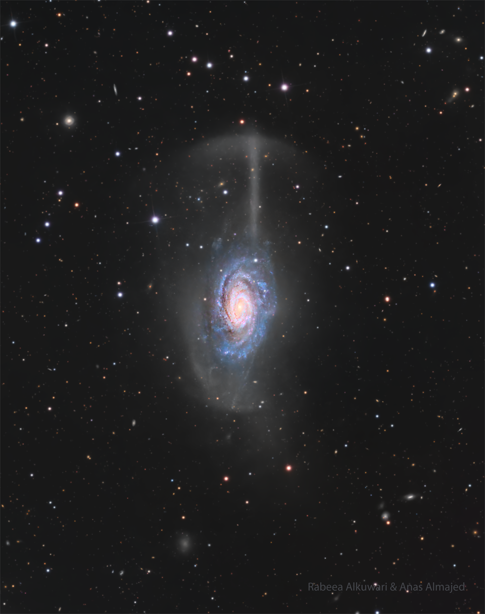 A spiral galaxy is shown with an unusual feature.
Faint wisps of stars are seen both above and below the
galaxy. A wisp above appears like an umbrella.
Please see the explanation for more detailed information.