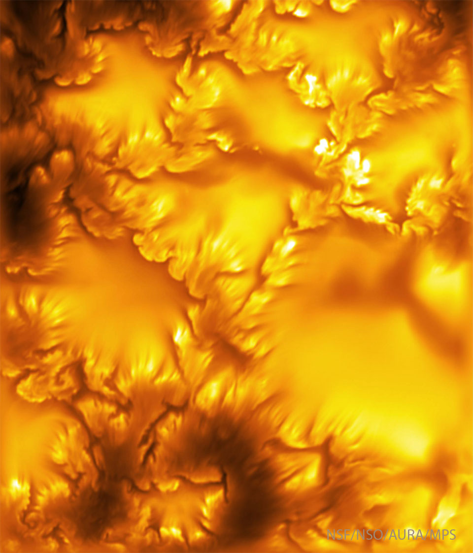 A image shows flowery dark and light structures
on a yellow background. 
Please see the explanation for more detailed information.