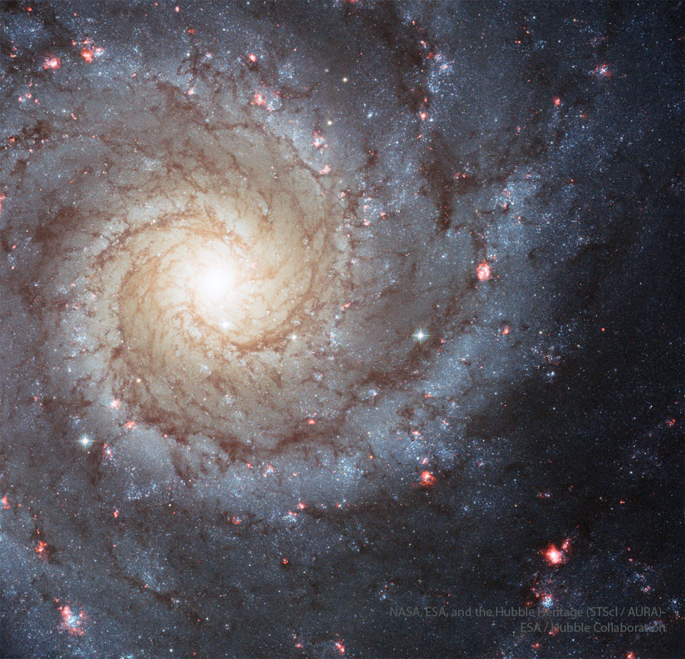 A large spiral galaxy occupies the frame, with 
a bright white centre slightly toward the upper left,
and blue hued spiral arms laced with dark dust 
surrounding the centre.
Please see the explanation for more detailed information.